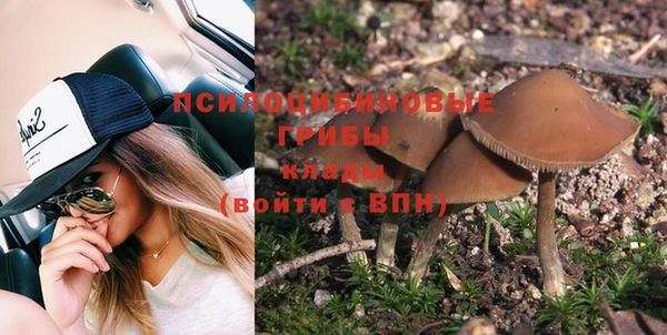 а пвп мука Горняк