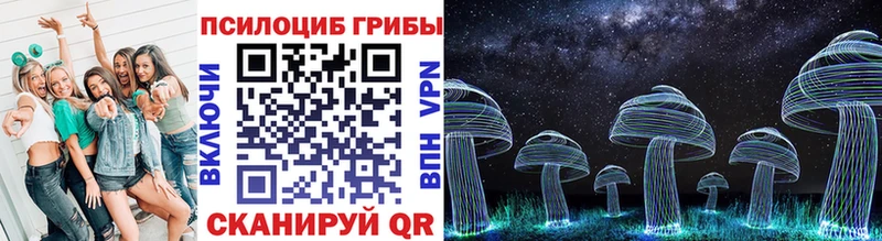 Купить где  Котельнич  Псилоцибиновые грибы ЛСД 