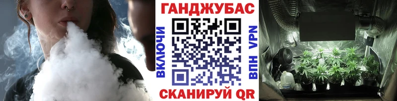 Бошки Шишки планчик Котельнич